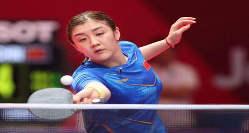 达洛特之所 达洛特之所